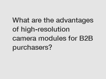 What are the advantages of high-resolution camera modules for B2B purchasers?