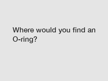 Where would you find an O-ring?