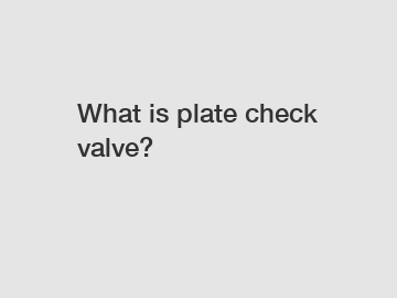 What is plate check valve?