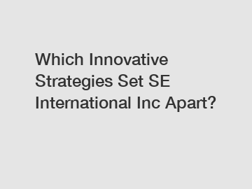 Which Innovative Strategies Set SE International Inc Apart?