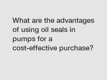 What are the advantages of using oil seals in pumps for a cost-effective purchase?