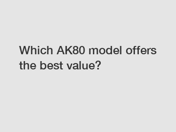 Which AK80 model offers the best value?